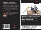 Thatijanne Santos G. de Carvalho, Carlos Eduardo Do Prado Saad, Márcio Gilberto Zangeronimo - Management of Calopsitas (Nymphicus hollandicus) kept in captivity