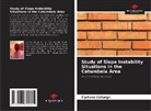 Cipriano Lialunga - Study of Slope Instability Situations in the Catumbela Area