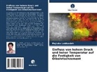 Mojtaba Labibzadeh - Einfluss von hohem Druck und hoher Temperatur auf die Festigkeit von Ölbohrlochzement