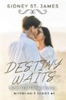 Sidney St. James - Destiny Waits - Murder at the Lakeside Museum