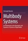 Christoph Woernle - Multibody Systems
