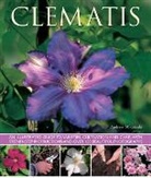 Andrew Mikolajski, Mikolajski Andrew - Clematis