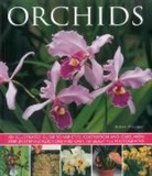 Andrew Mikolajski, Mikolajski Andrew - Orchids