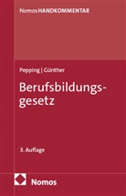 Thomas Günther, Georg Pepping - Berufsbildungsgesetz