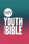 New International Version, New International Version - NIV Youth Bible Hardback