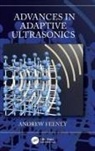 Andrew Feeney, Andrew (University of Glasgow Feeney - Advances in Adaptive Ultrasonics