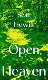 Sean Hewitt, Seán Hewitt - Open, Heaven