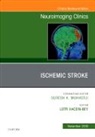 Lotfi Hacein-Bey - Ischemic Stroke, An Issue of Neuroimaging Clinics of North America