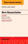 Daniel M Caruso, Daniel M. Caruso, Caruso Daniel M., Kevin N Foster, Kevin N. Foster, Foster Kevin N. - Burn Resuscitation, An Issue of Critical Care Clinics