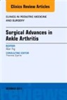 Alan Ng, Ng Alan - Surgical Advances in Ankle Arthritis, An Issue of Clinics in Podiatric Medicine and Surgery