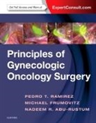 Nadeem R Abu-Rustum, Nadeem R. Abu-Rustum, Abu-Rustum Nadeem R., Michael Frumovitz, Frumovitz Michael, Pedro T Ramirez... - Principles of Gynecologic Oncology Surgery