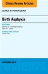 Alan H Jobe, Alan H. Jobe, Jobe Alan H., Beena D Kamath-Rayne, Beena D. Kamath-Rayne, Kamath-Rayne Beena D. - Birth Asphyxia, An Issue of Clinics in Perinatology