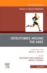Annunziato "Ned" Amendola, Annunziato Ned Amendola, Annunziato "Ned" Amendola, Davide E Bonasia, Davide E Bonasia - Osteotomies Around the Knee, An Issue of Clinics in Sports Medicine