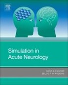Sara E Hocker, Sara E. Hocker, Hocker Sara E., Eelco F M Wijdicks, Eelco F. M. Wijdicks, Wijdicks Eelco F. M. - Simulation in Acute Neurology