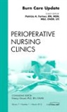 Patricia Fortner - Burn Care Update, An Issue of Perioperative Nursing Clinics