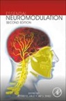 Jeffrey Arle, Jay L Shils, Jay L. Shils, Shils Jay L. - Essential Neuromodulation