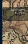 Josef Konstantin Jireek - Kniazhestvo Blgariia; Volume 1