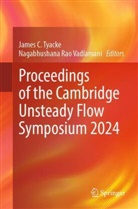 James C Tyacke, Rao Vadlamani, James Tyacke, James C. Tyacke, Nagabhushana Rao Vadlamani - Proceedings of the Cambridge Unsteady Flow Symposium 2024