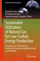 Bamidele Victor Ayodele, Asumadu Sarkodie, Samuel Asumadu Sarkodie, Bamidele Victor Ayodele, Siti Indati Mustapa, Siti Indati Mustapa... - Sustainable Utilization of Natural Gas for Low-Carbon Energy Production