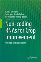 Temesgen Assefa Gelaw, Temesgen Assefa Gelaw, Kavita Goswami, Neeti Sanan-Mishra - Non-coding RNAs for Crop Improvement
