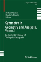 Michael Pevzner, Sekiguchi, Hideko Sekiguchi - Symmetry in Geometry and Analysis, Volume 2