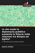 Eyassu Zeleke - In che modo la diplomazia pubblica aumenta la fiducia nelle relazioni tra Etiopia ed Egitto?