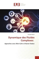 Youssef Hairch - Dynamique des Fluides Complexes: