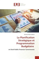 Armonie Rose Endeme - La Planification Stratégique et Programmation Budgétaire