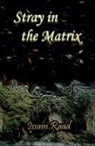 Issam Raad - Stray in the Matrix