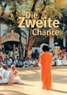 Howard Levin - Die Zweite Chance