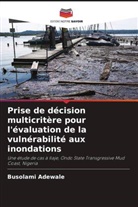Busolami Adewale - Prise de décision multicritère pour l'évaluation de la vulnérabilité aux inondations
