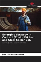 Jose Luis Ossa Cardona - Emerging Strategy in Context (Covid-19) Iron and Steel Sector Col.