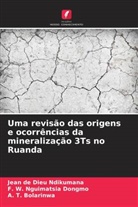 A. T. Bolarinwa, F. W. Nguimatsia Dongmo, Jean de Dieu Ndikumana - Uma revisão das origens e ocorrências da mineralização 3Ts no Ruanda