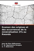A. T. Bolarinwa, F. W. Nguimatsia Dongmo, Jean de Dieu Ndikumana - Examen des origines et des occurrences de la minéralisation 3Ts au Rwanda