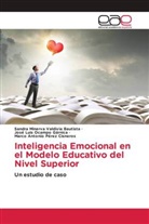 José Luis Ocampo Gárnica, Marco Antonio Pérez Cisneros, Sandra Minerva Valdivia Bautista - Inteligencia Emocional en el Modelo Educativo del Nivel Superior