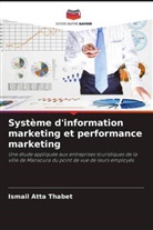 Ismail Atta Thabet - Système d'information marketing et performance marketing