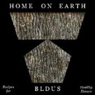 Andrew Linn - Home on Earth