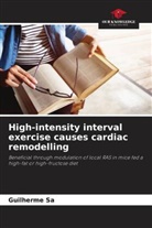 Guilherme Sa - High-intensity interval exercise causes cardiac remodelling