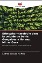 Andréa Esteves Martins - Ethnopharmacologie dans la colonie de Denis Gonçalves à Goianá, Minas Gera