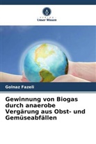 Golnaz Fazeli - Gewinnung von Biogas durch anaerobe Vergärung aus Obst- und Gemüseabfällen