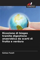 Golnaz Fazeli - Ricezione di biogas tramite digestione anaerobica da scarti di frutta e verdura