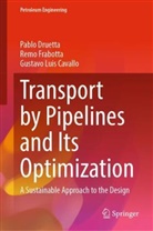 Gustavo Lui Cavallo, Gustavo Luis Cavallo, Pablo Druetta, Remo Frabotta - Transport by Pipelines and Its Optimization