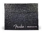 Dave Hunter, Hunter Dave - Fender Stratocaster 70 Years Deluxe Box Edition