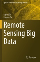 Liping Di, Eugene Yu - Remote Sensing Big Data