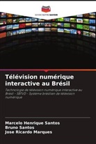 José Ricardo Marques, Bruno Santos, Marcelo Henrique Santos - Télévision numérique interactive au Brésil