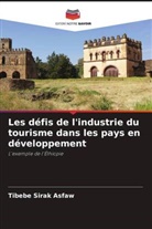 Tibebe Sirak Asfaw - Les défis de l'industrie du tourisme dans les pays en développement