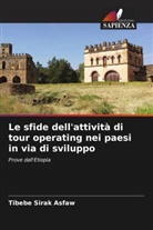 Tibebe Sirak Asfaw - Le sfide dell'attività di tour operating nei paesi in via di sviluppo