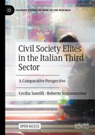 Cecilia Santilli, Roberto Scaramuzzino - Civil Society Elites in the Italian Third Sector