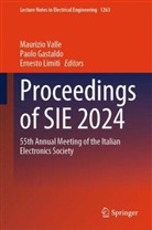 Paolo Gastaldo, Ernesto Limiti, Maurizio Valle - Proceedings of SIE 2024