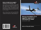 Uchenna Okwudili Anekwe - Natura invisibile di un oggetto esposto al rilevamento radar